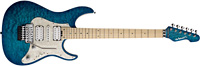 Edwards E-SN-150FR