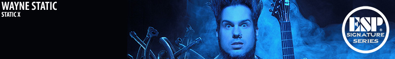 Wayne Static