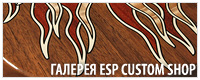 Custom Shop Gallery